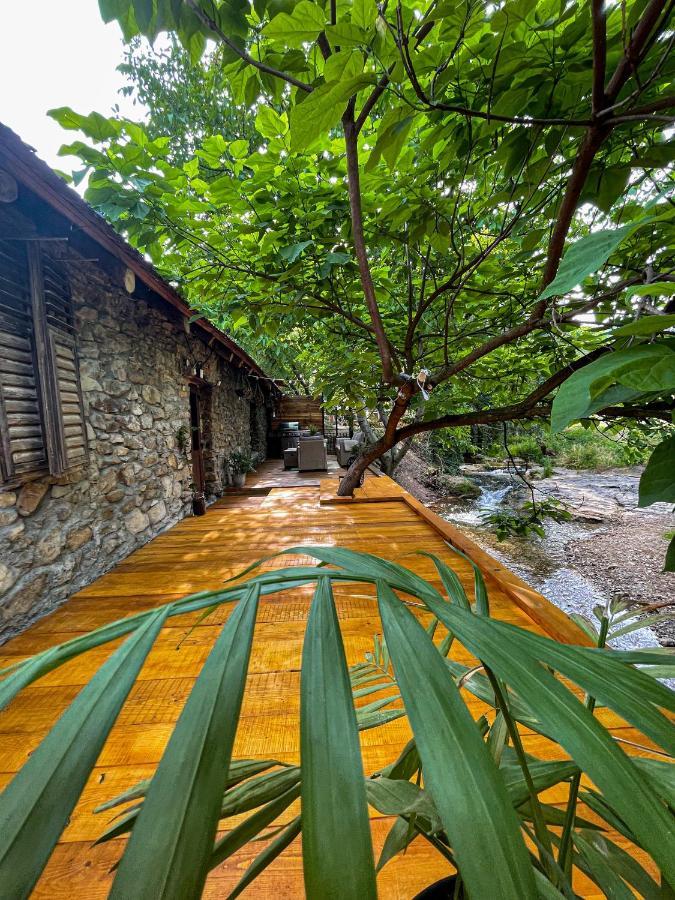 The Hunter House Vila Ciudanovita Exterior foto