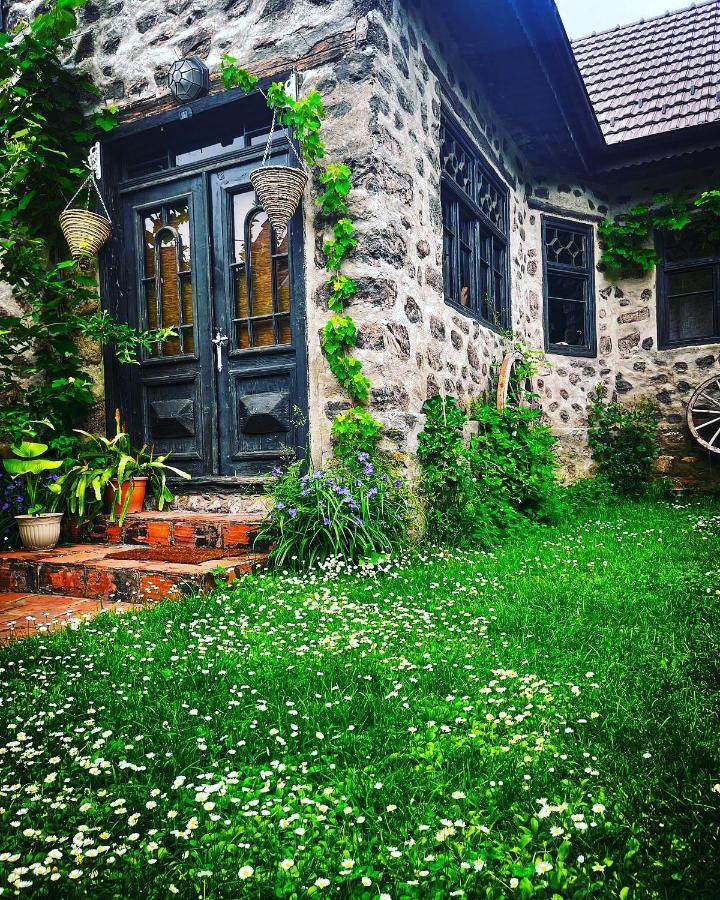 The Hunter House Vila Ciudanovita Exterior foto